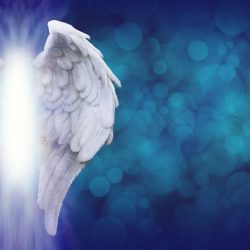 angelic wings background